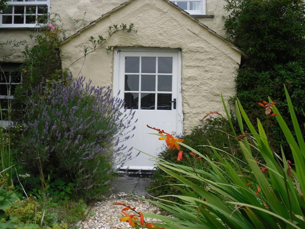 Higher Tresmorn Farm Bed & Breakfast Crackington Haven Ngoại thất bức ảnh