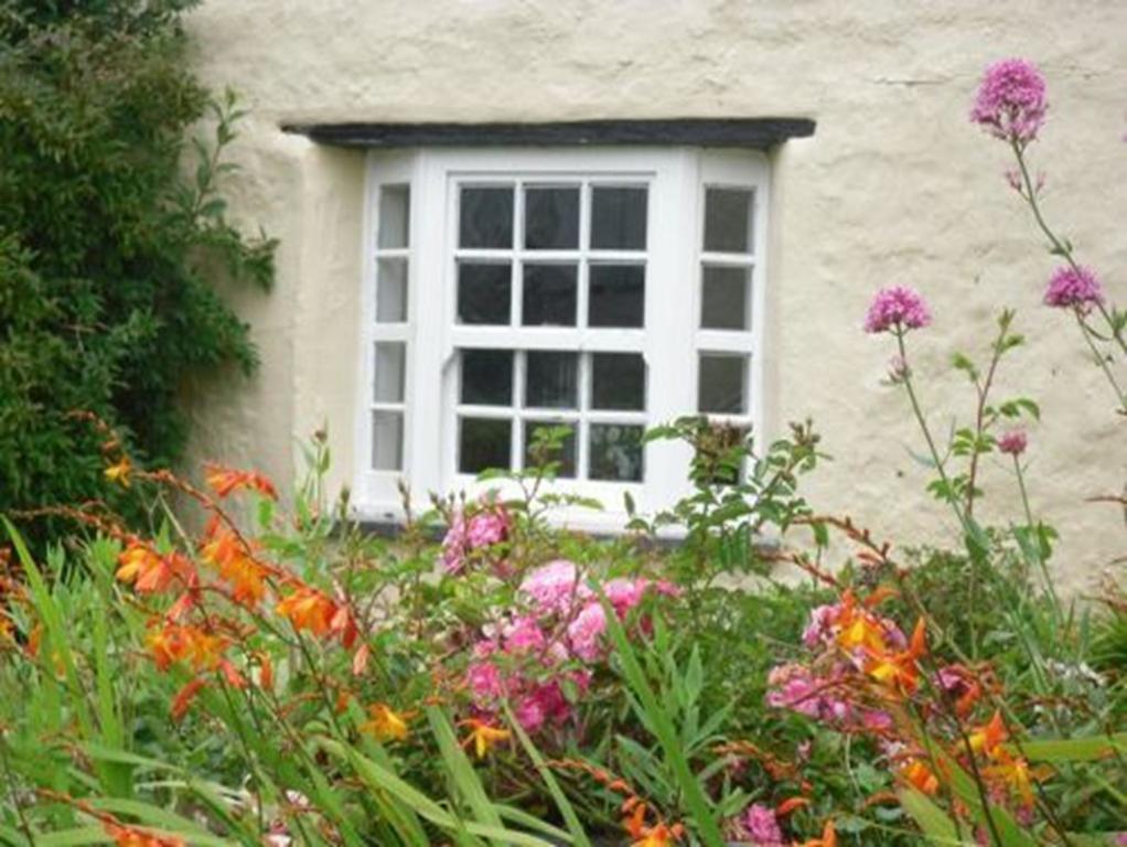 Higher Tresmorn Farm Bed & Breakfast Crackington Haven Ngoại thất bức ảnh
